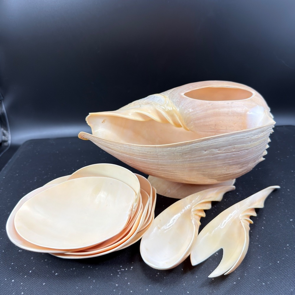 Vintage Hand Carved Conch Shell Bowl Set 9 Dishes Servers Coastal w Utensils - Picture 15 of 16